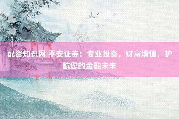 配資知識網(wǎng) 平安證券：專業(yè)投資，財富增值，護航您的金融未來