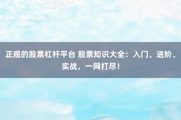 正規(guī)的股票杠桿平臺(tái) 股票知識(shí)大全：入門(mén)、進(jìn)階、實(shí)戰(zhàn)，一網(wǎng)打盡！