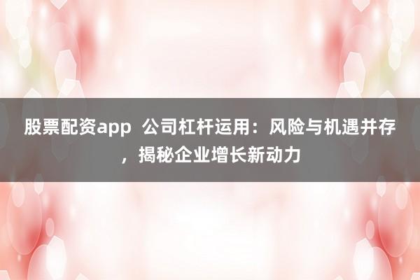 股票配資app  公司杠桿運用：風(fēng)險與機遇并存，揭秘企業(yè)增長新動力
