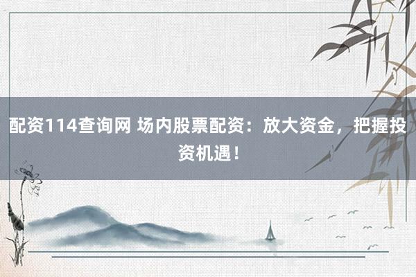配資114查詢網(wǎng) 場內(nèi)股票配資：放大資金，把握投資機遇！