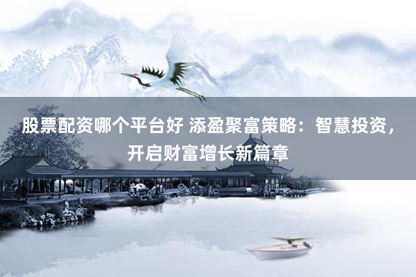 股票配資哪個平臺好 添盈聚富策略：智慧投資，開啟財富增長新篇章