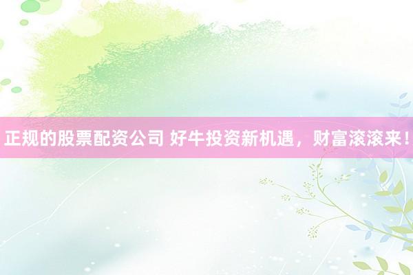 正規(guī)的股票配資公司 好牛投資新機(jī)遇，財富滾滾來！