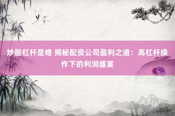 炒股杠桿是啥 揭秘配資公司盈利之道：高杠桿操作下的利潤(rùn)盛宴