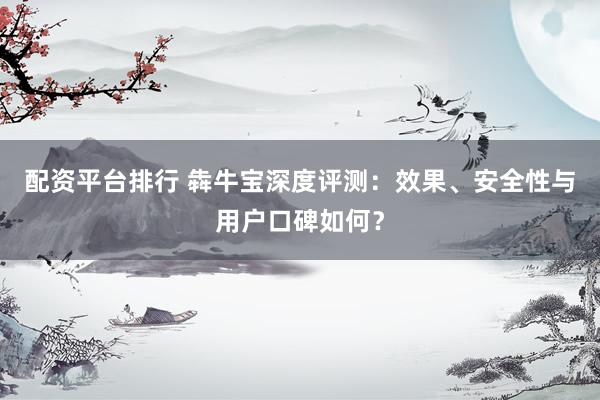 配資平臺(tái)排行 犇牛寶深度評(píng)測(cè)：效果、安全性與用戶口碑如何？