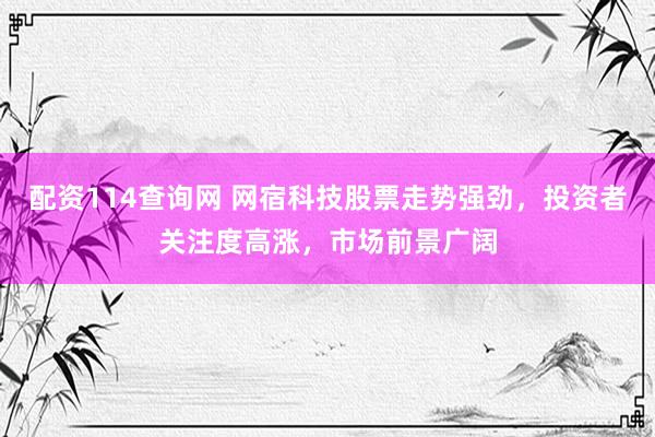 配資114查詢網(wǎng) 網(wǎng)宿科技股票走勢強(qiáng)勁，投資者關(guān)注度高漲，市場前景廣闊